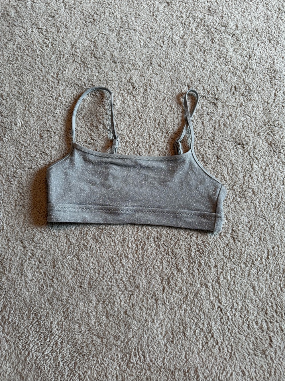 Silver Shimmer Bikini Top